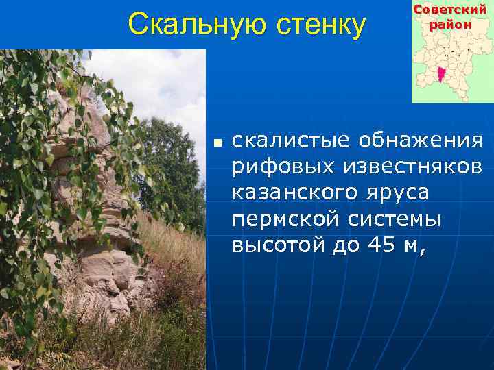 Скальную стенку n Советский район скалистые обнажения рифовых известняков казанского яруса пермской системы высотой