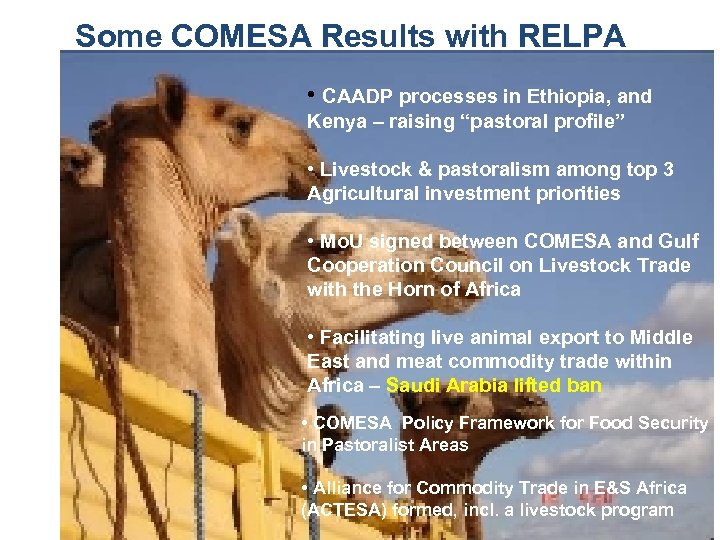 Some COMESA Results with RELPA • CAADP processes in Ethiopia, and Kenya – raising