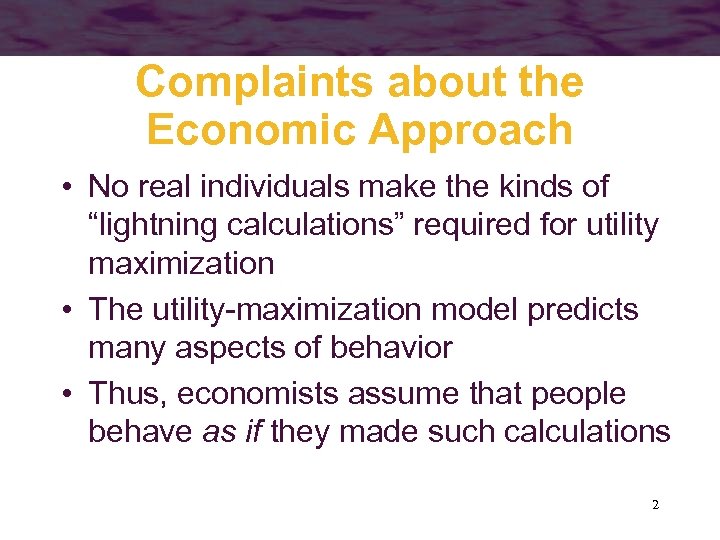 Complaints about the Economic Approach • No real individuals make the kinds of “lightning