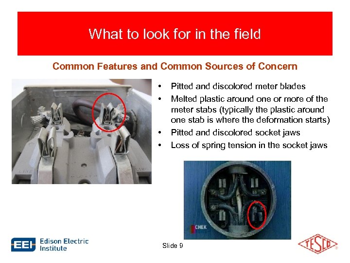 What to look for in the field Common Features and Common Sources of Concern