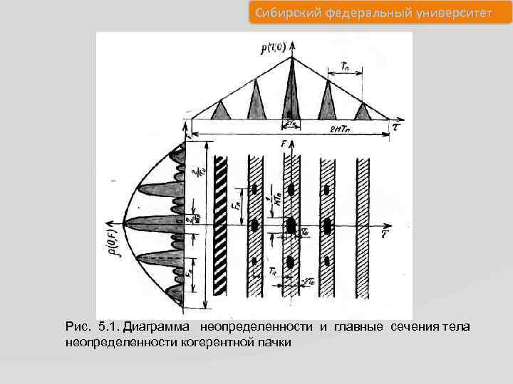 Сибирский федеральный университет Рис. 5. 1. Диаграмма неопределенности и главные сечения тела неопределенности когерентной