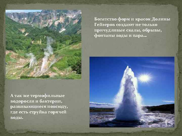 Богатство форм и красок Долины Гейзеров создают не только причудливые скалы, обрывы, фонтаны воды