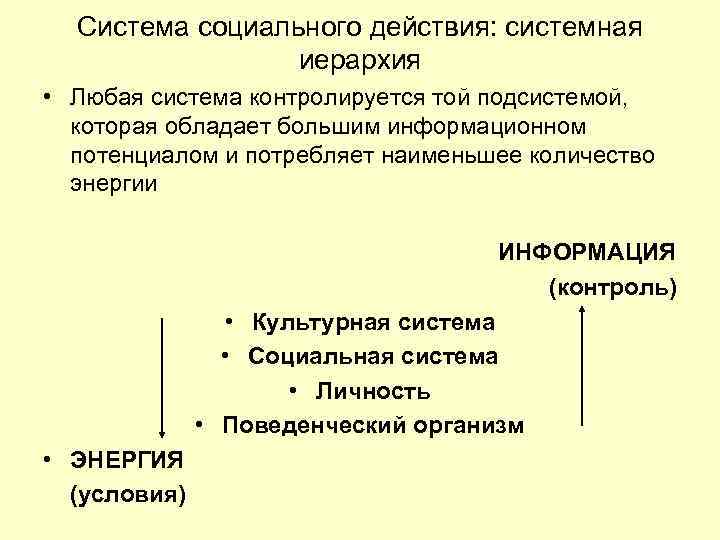 Парсонс т о структуре социального действия м академический проект 2000