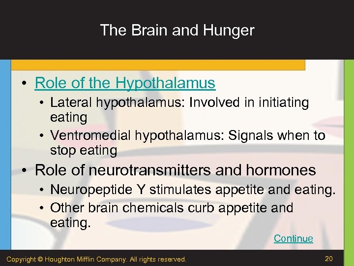 The Brain and Hunger • Role of the Hypothalamus • Lateral hypothalamus: Involved in
