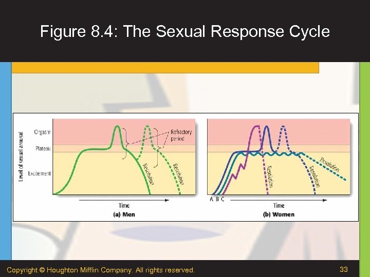 Figure 8. 4: The Sexual Response Cycle Copyright © Houghton Mifflin Company. All rights