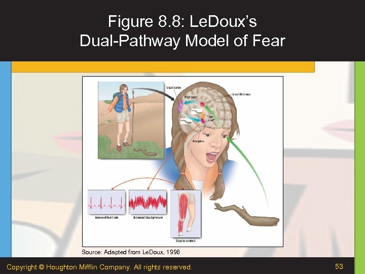Figure 8. 8: Le. Doux’s Dual-Pathway Model of Fear Source: Adapted from Le. Doux,