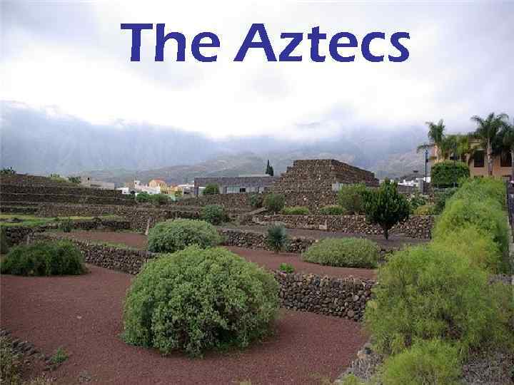 The Aztecs 