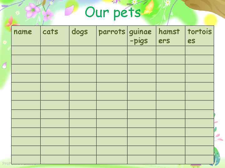 Our pets name Pro. Power. Point. ru cats dogs parrots guinae hamst -pigs ers