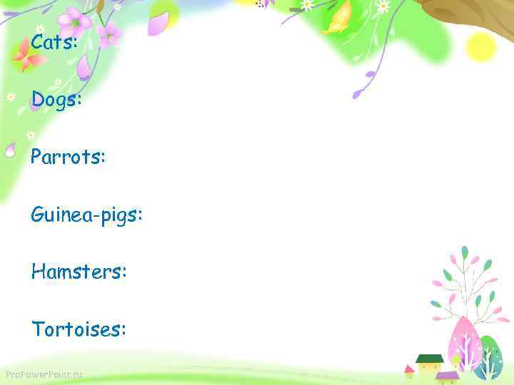 Cats: Dogs: Parrots: Guinea-pigs: Hamsters: Tortoises: Pro. Power. Point. ru 