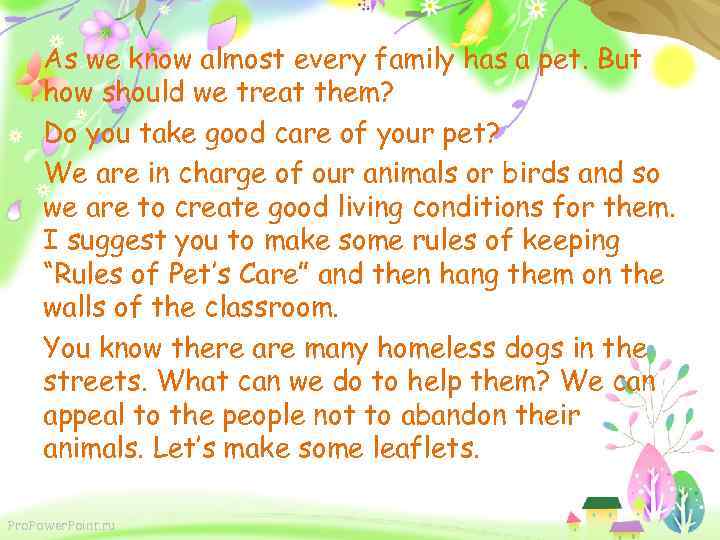 As we know almost every family has a pet. But how should we treat