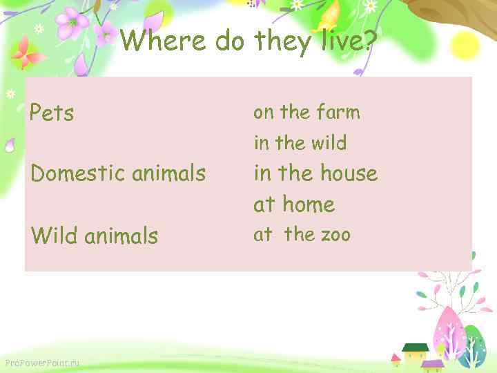 Where do they live? Pets on the farm in the wild Domestic animals in