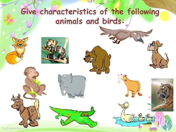 Give characteristics of the following animals and birds: Pro. Power. Point. ru 