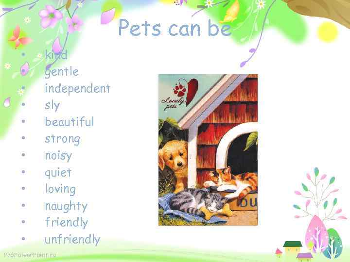 Pets can be • • • kind gentle independent sly beautiful strong noisy quiet