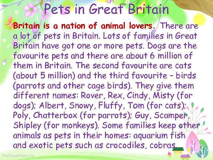 Pets in Great Britain is a nation of animal lovers. There a lot of
