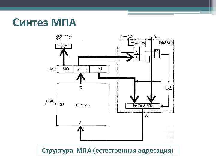 Синтез МПА Структура МПА (естественная адресация) 