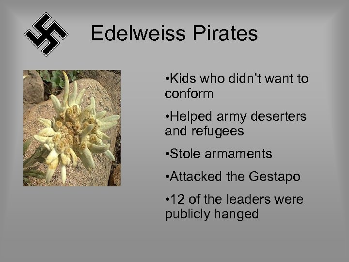 Edelweiss Pirates • Kids who didn’t want to conform • Helped army deserters and