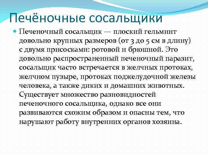 Печёночные сосальщики Печеночный сосальщик — плоский гельминт довольно крупных размеров (от 3 до 5