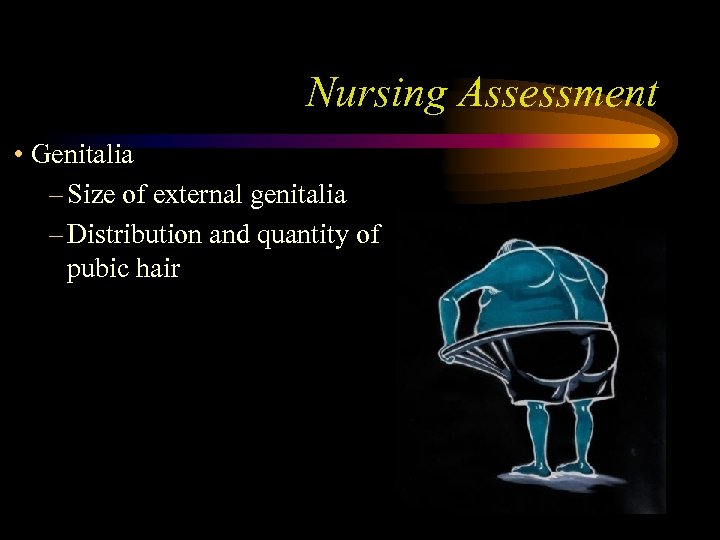 Nursing Assessment • Genitalia – Size of external genitalia – Distribution and quantity of