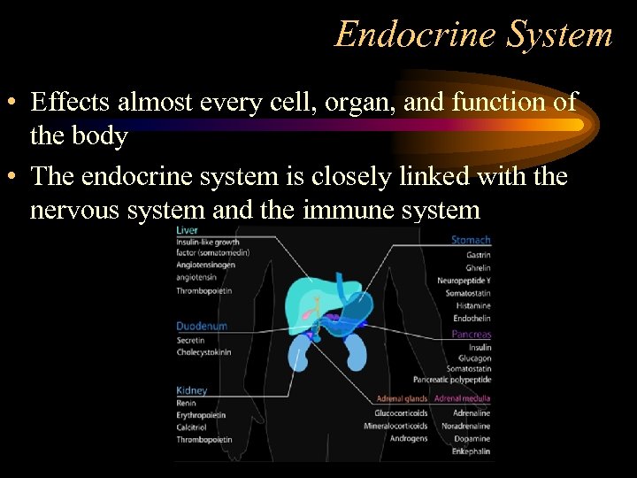 Endocrine System • Effects almost every cell, organ, and function of the body •