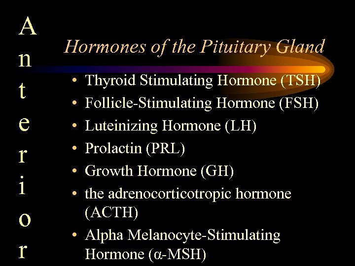 A n t e r i o r Hormones of the Pituitary Gland •