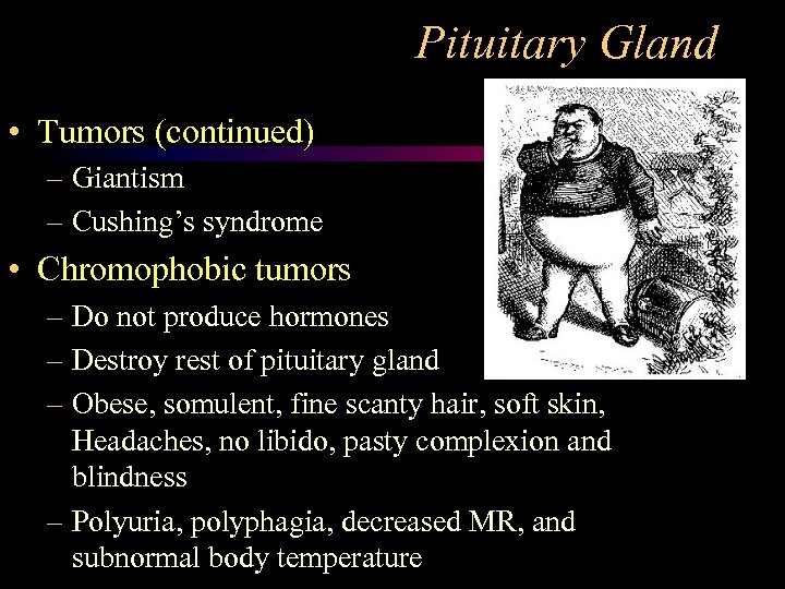 Pituitary Gland • Tumors (continued) – Giantism – Cushing’s syndrome • Chromophobic tumors –