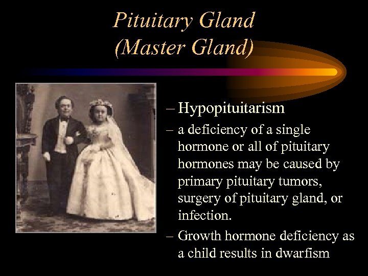 Pituitary Gland (Master Gland) – Hypopituitarism – a deficiency of a single hormone or