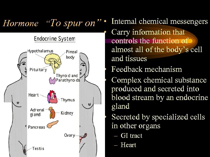 Hormone “To spur on” • Internal chemical messengers • Carry information that controls the