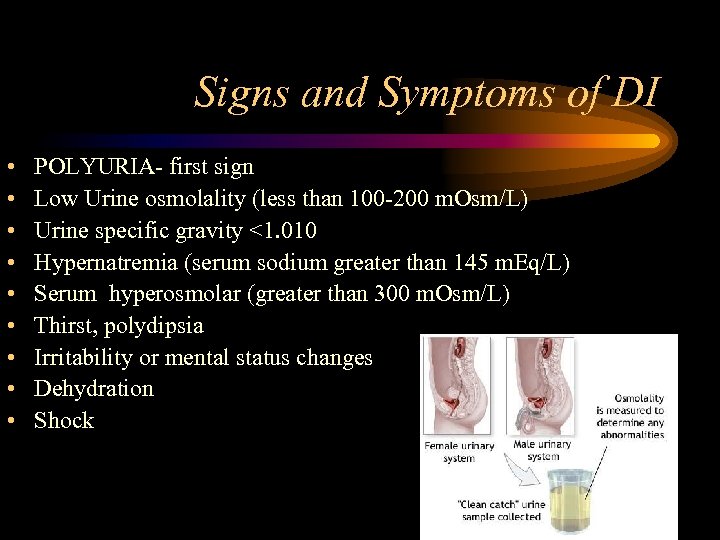 Signs and Symptoms of DI • • • POLYURIA- first sign Low Urine osmolality