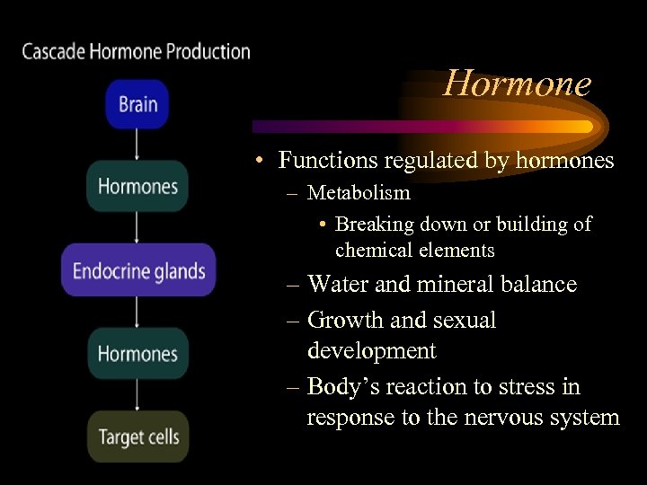 Hormone • Functions regulated by hormones – Metabolism • Breaking down or building of