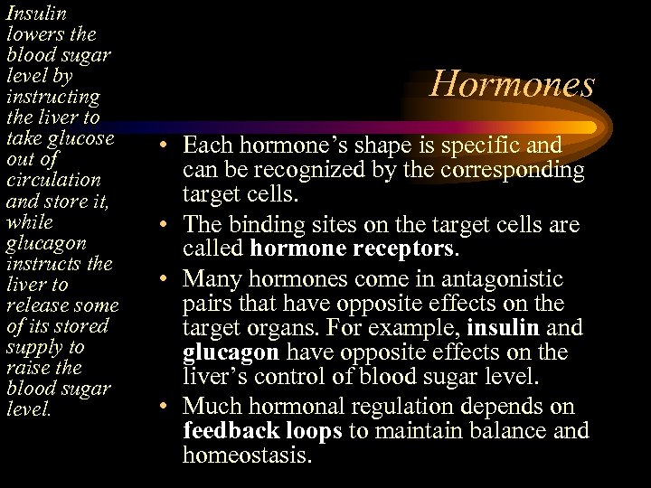 Insulin lowers the blood sugar level by instructing the liver to take glucose out