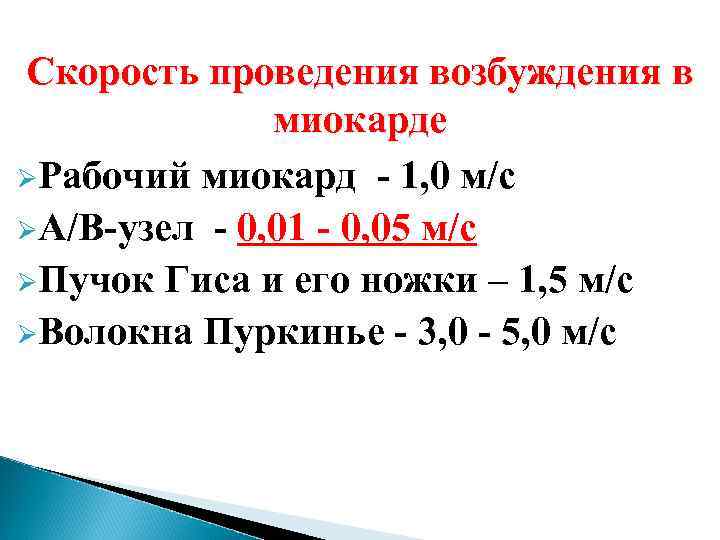 Скорость проведения возбуждения в миокарде ØРабочий миокард - 1, 0 м/с ØА/В-узел - 0,