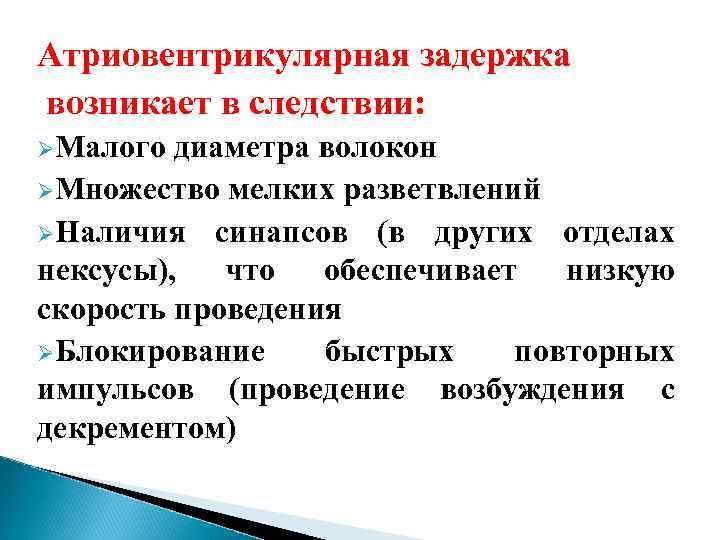 Атриовентрикулярная задержка возникает в следствии: ØМалого диаметра волокон ØМножество мелких разветвлений ØНаличия синапсов (в