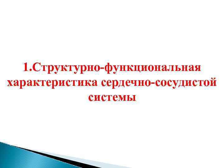 1. Структурно-функциональная характеристика сердечно-сосудистой системы 