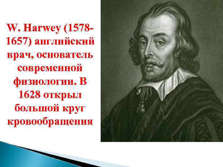 W. Harwey (15781657) английский врач, основатель современной физиологии. В 1628 открыл большой круг кровообращения