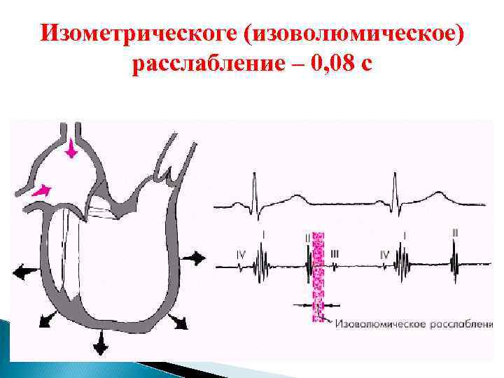 Изометрическоге (изоволюмическое) расслабление – 0, 08 с 