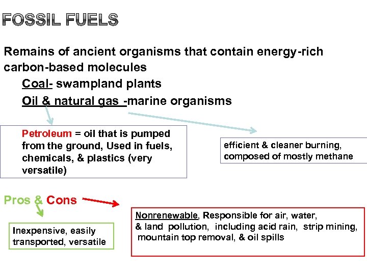 Remains of ancient organisms that contain energy-rich carbon-based molecules Coal- swampland plants Oil &