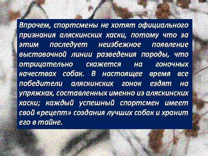 Впрочем, спортсмены не хотят официального признания аляскинских хаски, потому что за этим последует неизбежное