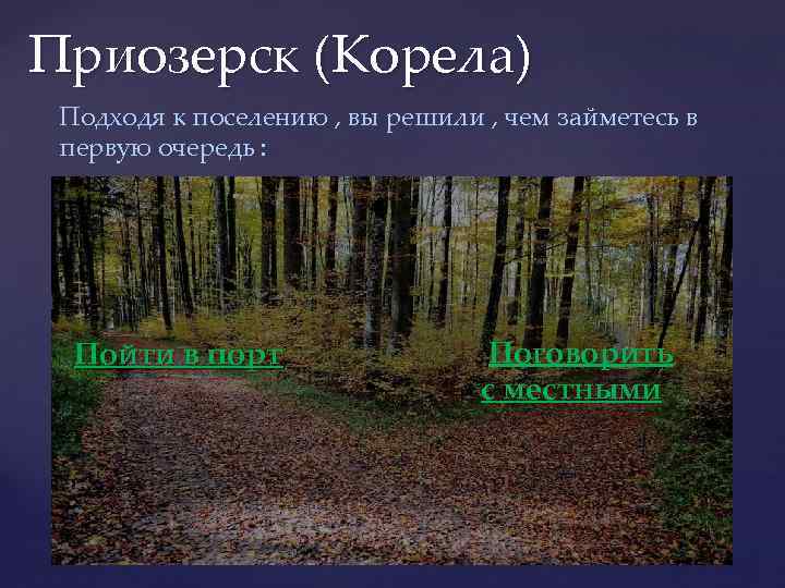 Приозерск (Корела) Подходя к поселению , вы решили , чем займетесь в первую очередь
