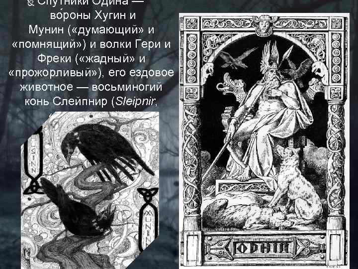 Спутники Одина — во роны Хугин и Мунин ( «думающий» и «помнящий» ) и
