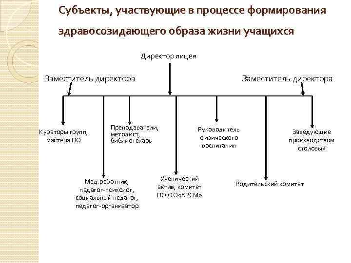 Субъекты, участвующие в процессе формирования здравосозидающего образа жизни учащихся Директор лицея Заместитель директора Кураторы