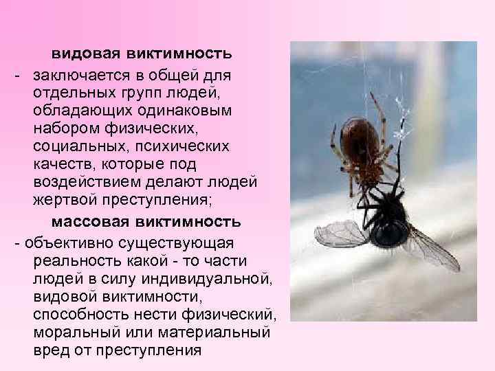 видовая виктимность заключается в общей для отдельных групп людей, обладающих одинаковым набором физических, социальных,