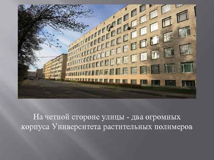 На четной стороне улицы - два огромных корпуса Университета растительных полимеров 