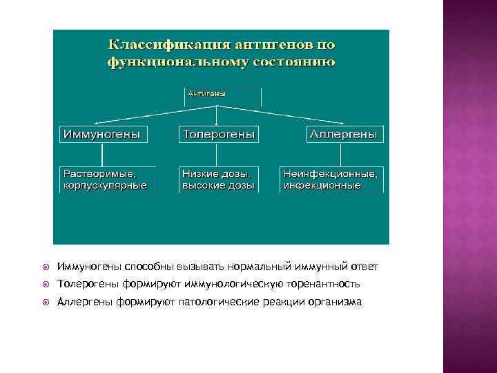  Иммуногены способны вызывать нормальный иммунный ответ Толерогены формируют иммунологическую торенантность Аллергены формируют патологические