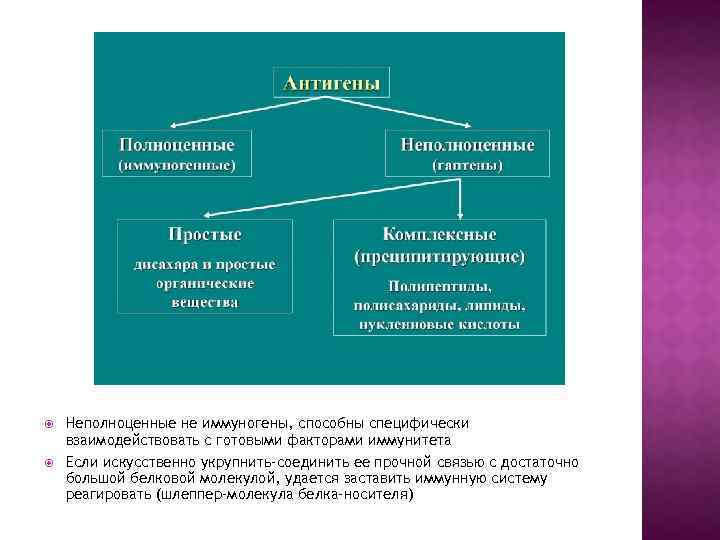  Неполноценные не иммуногены, способны специфически взаимодействовать с готовыми факторами иммунитета Если искусственно укрупнить-соединить