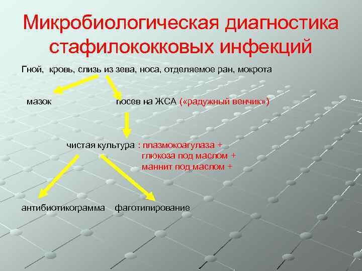 Микробиологическая диагностика стафилококковых инфекций Гной, кровь, слизь из зева, носа, отделяемое ран, мокрота мазок