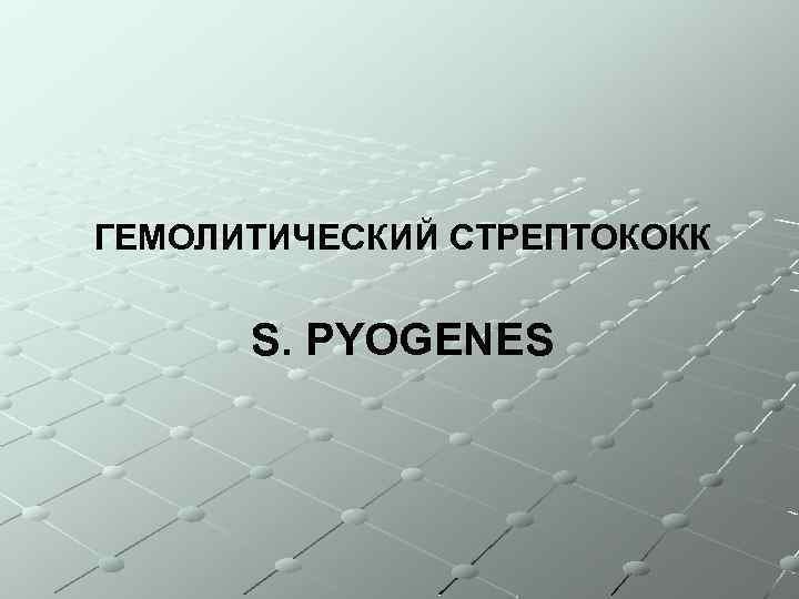 ГЕМОЛИТИЧЕСКИЙ СТРЕПТОКОКК S. PYOGENES 