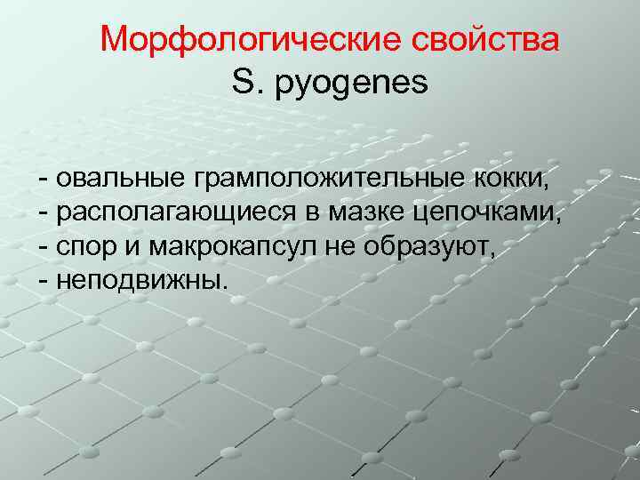 Морфологические свойства S. pyogenes - овальные грамположительные кокки, - располагающиеся в мазке цепочками, -