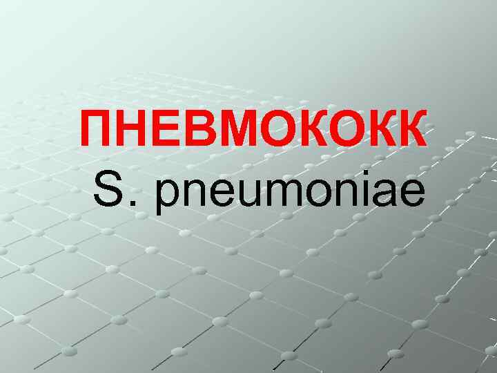 ПНЕВМОКОКК S. pneumoniae 