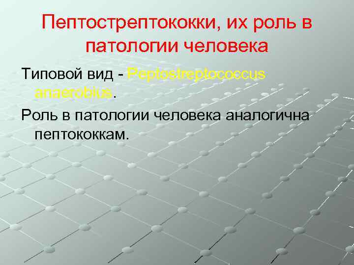 Пептострептококки, их роль в патологии человека Типовой вид - Peptostreptococcus anaerobius. Роль в патологии