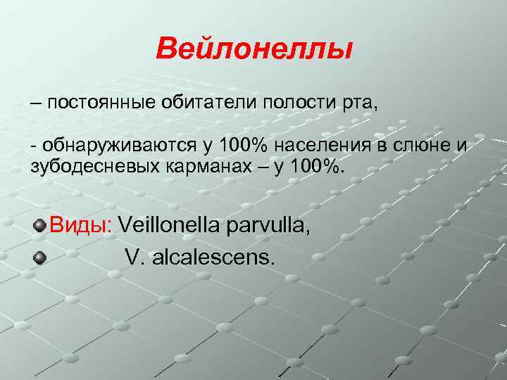 Вейлонеллы – постоянные обитатели полости рта, - обнаруживаются у 100% населения в слюне и